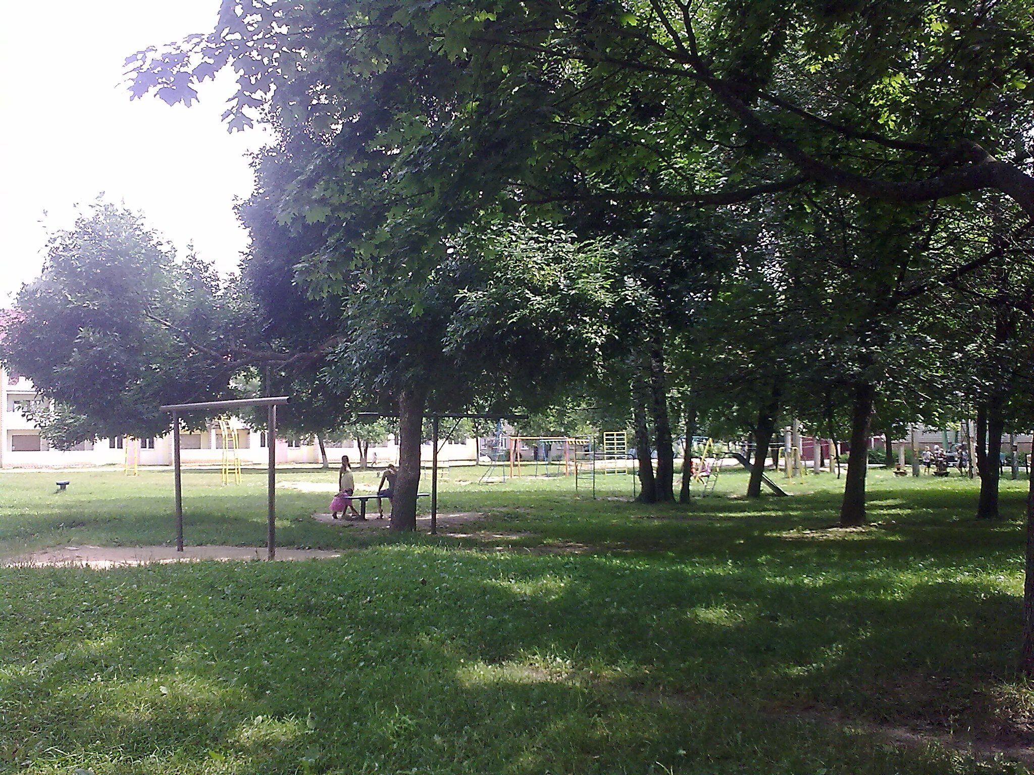 City block yard with grass and trees