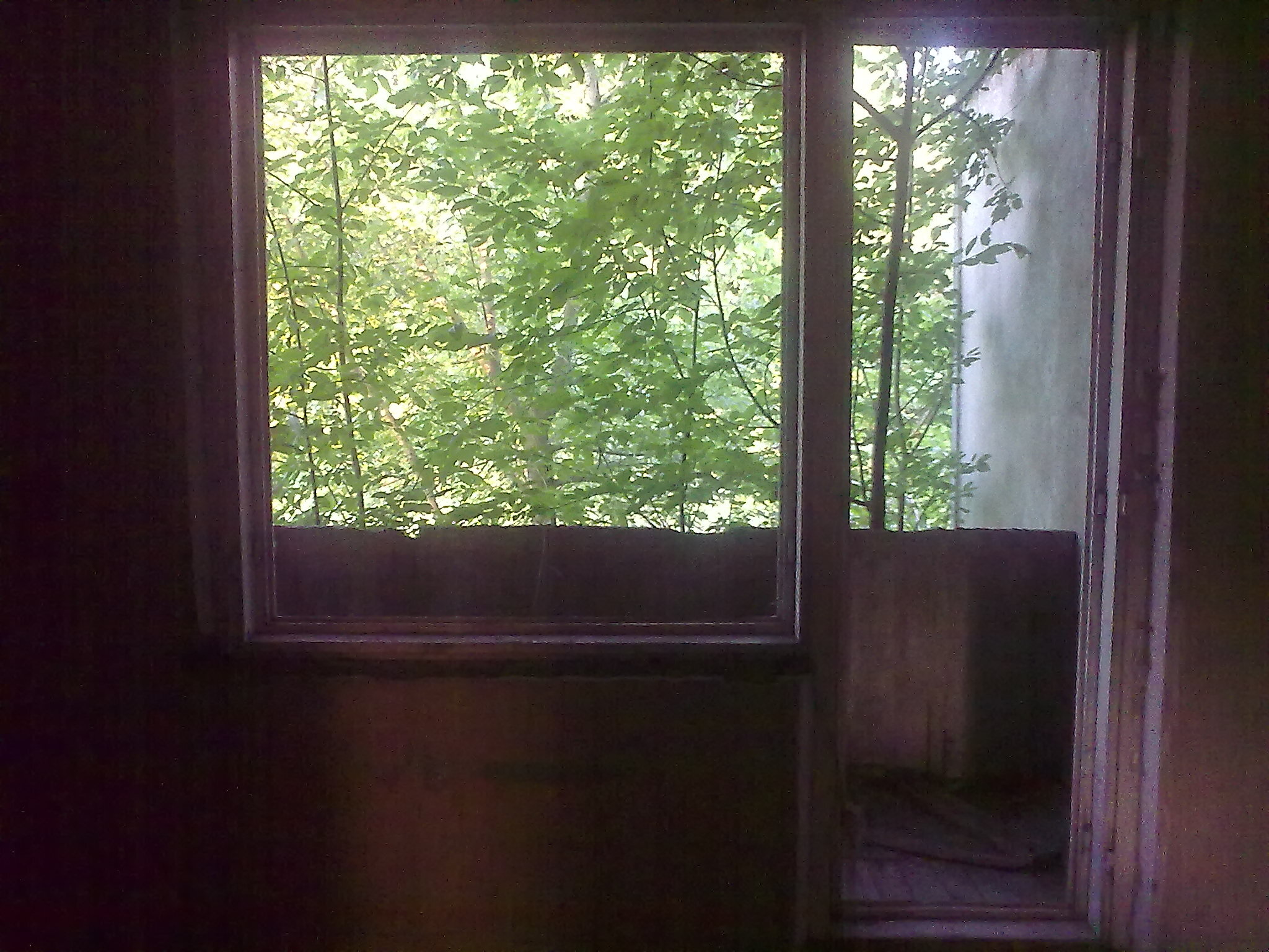 Photo inside an abandoned building