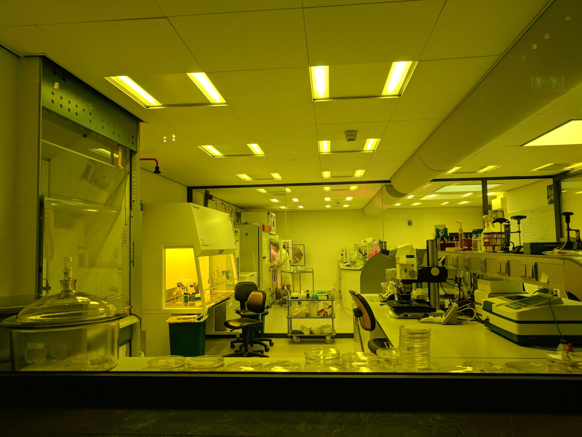 A lab in Micropia museum with a huge window you can look through