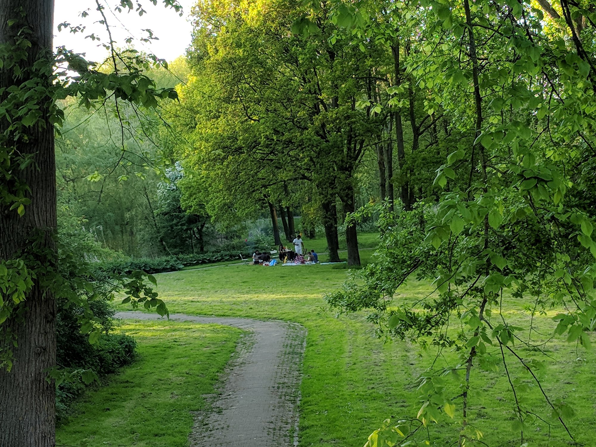 People have picnic on lawn in residential area