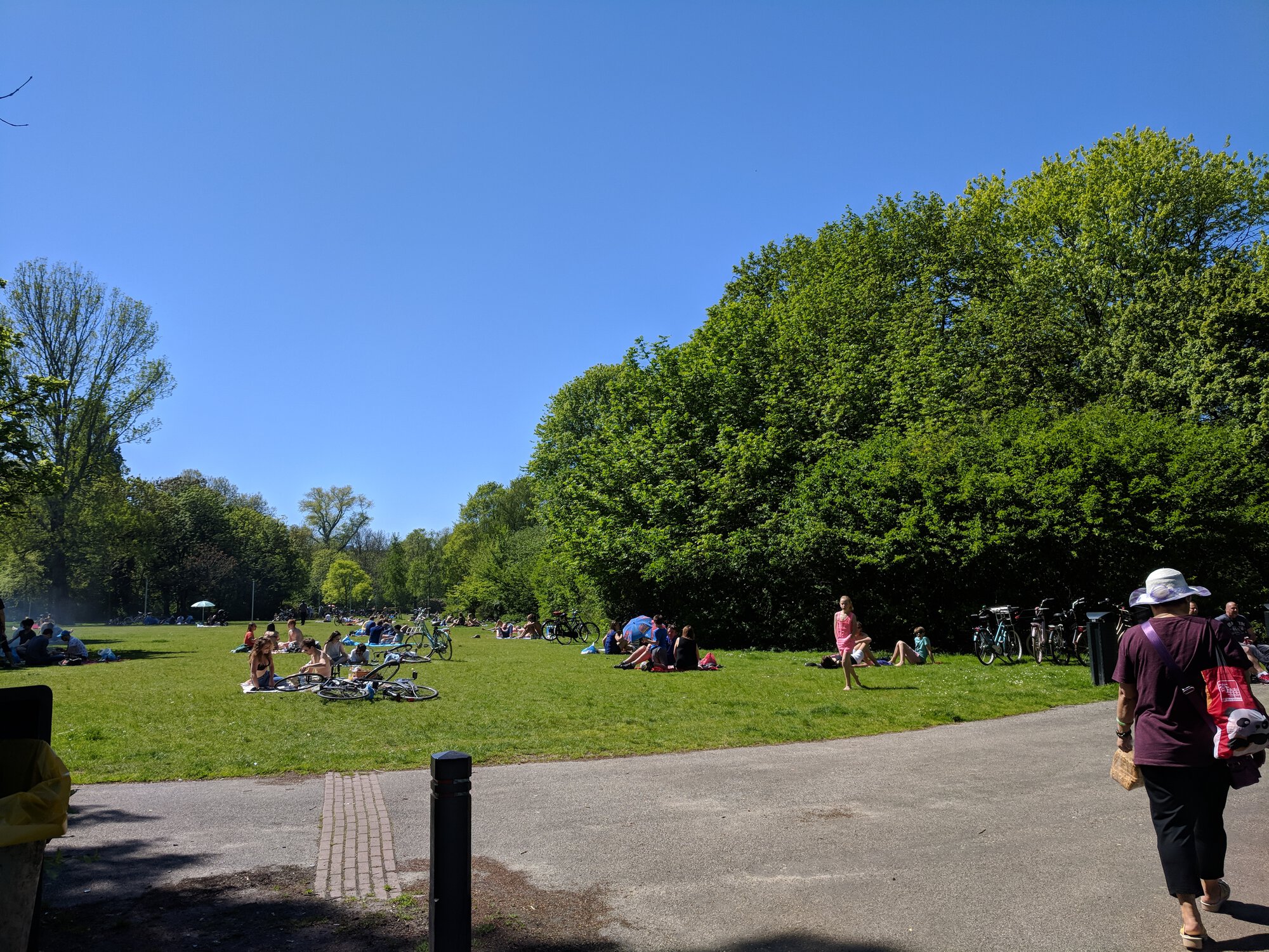 A park with people having picnics