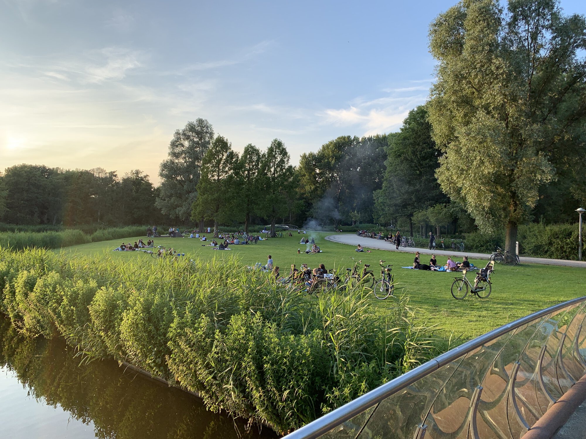 People are having picnics and enjoying time in a park