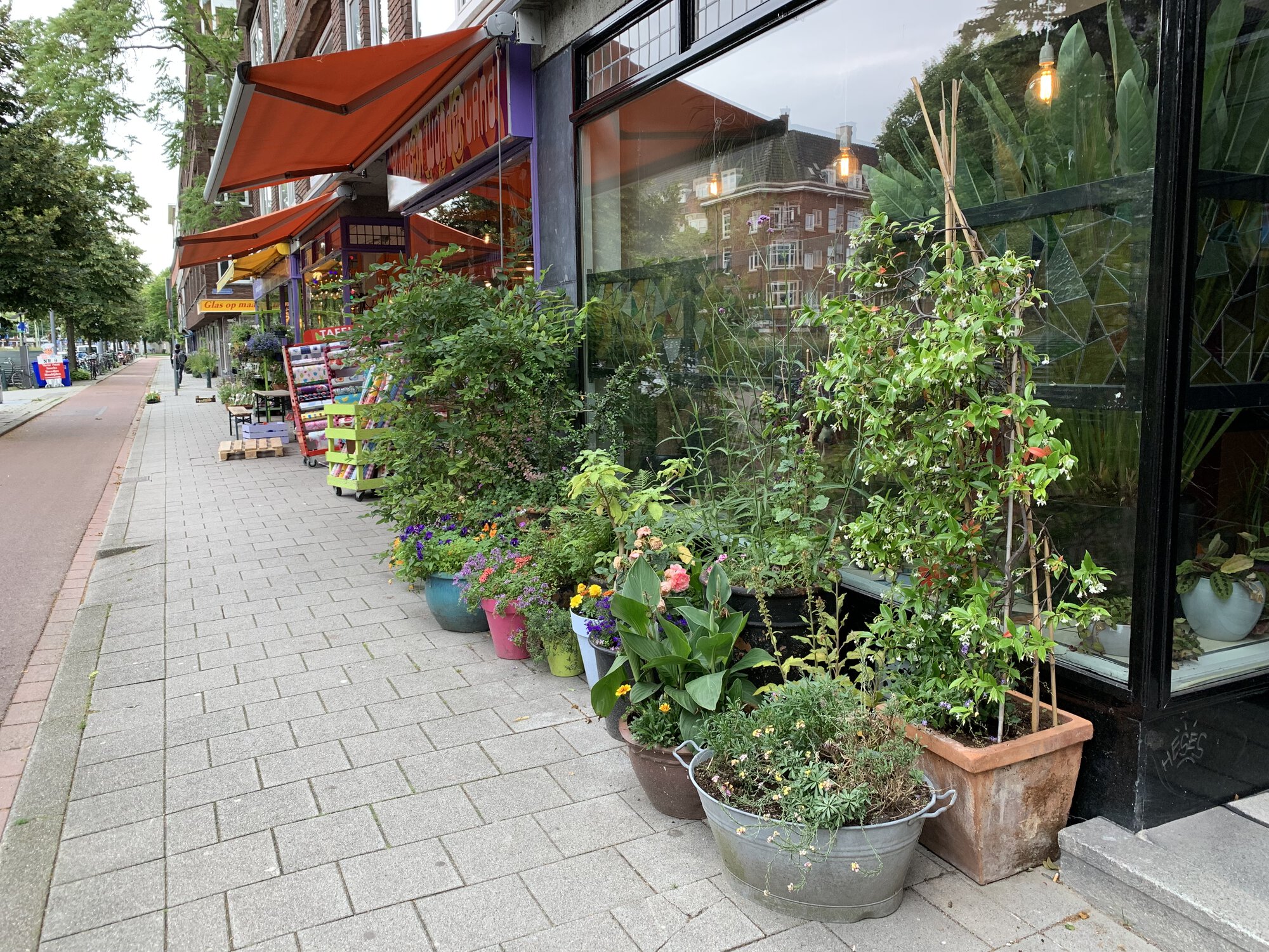 A lot of flower pots on the streat near the houseplants shop