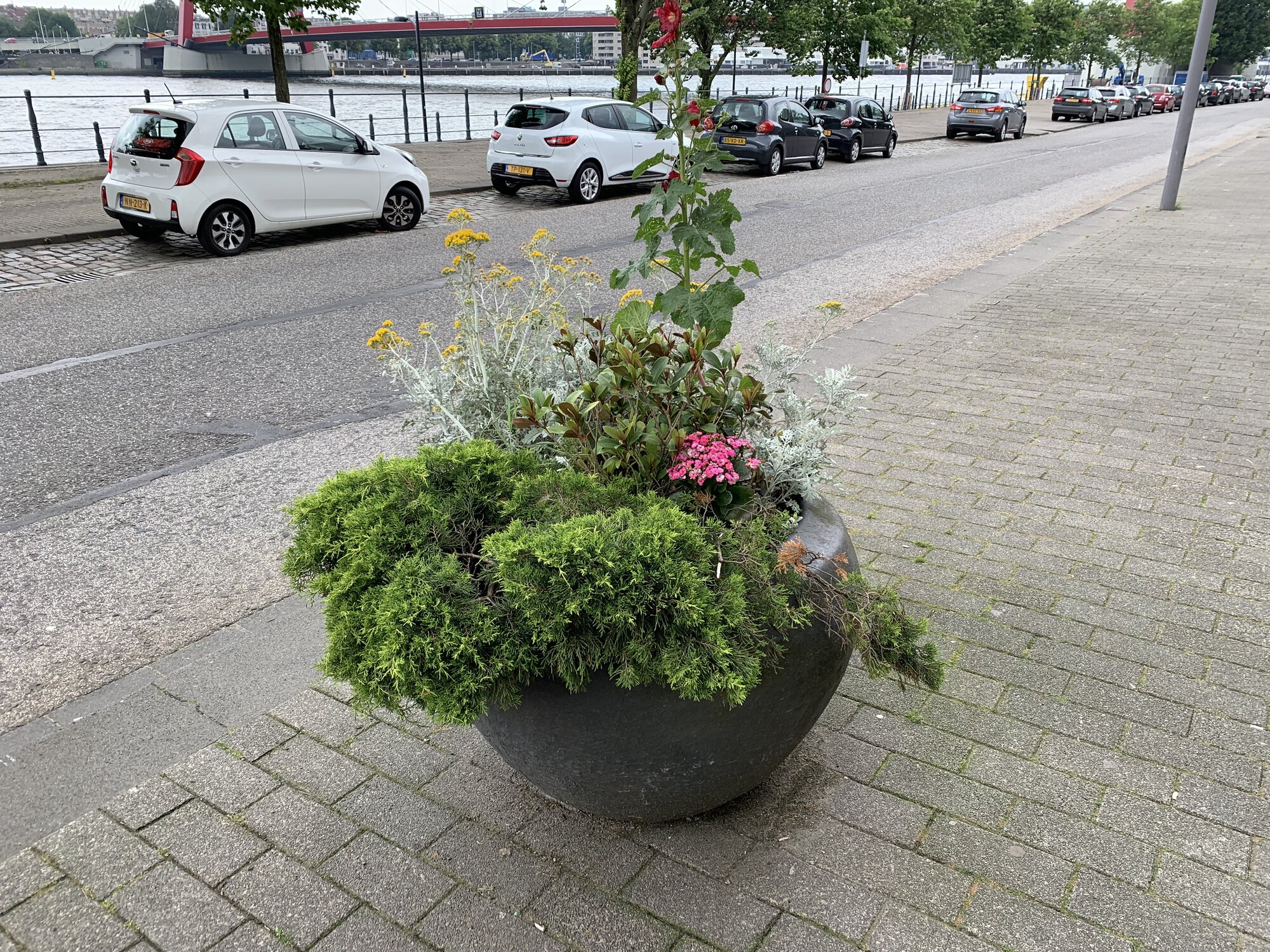 A big flower pot with a number of different flowers