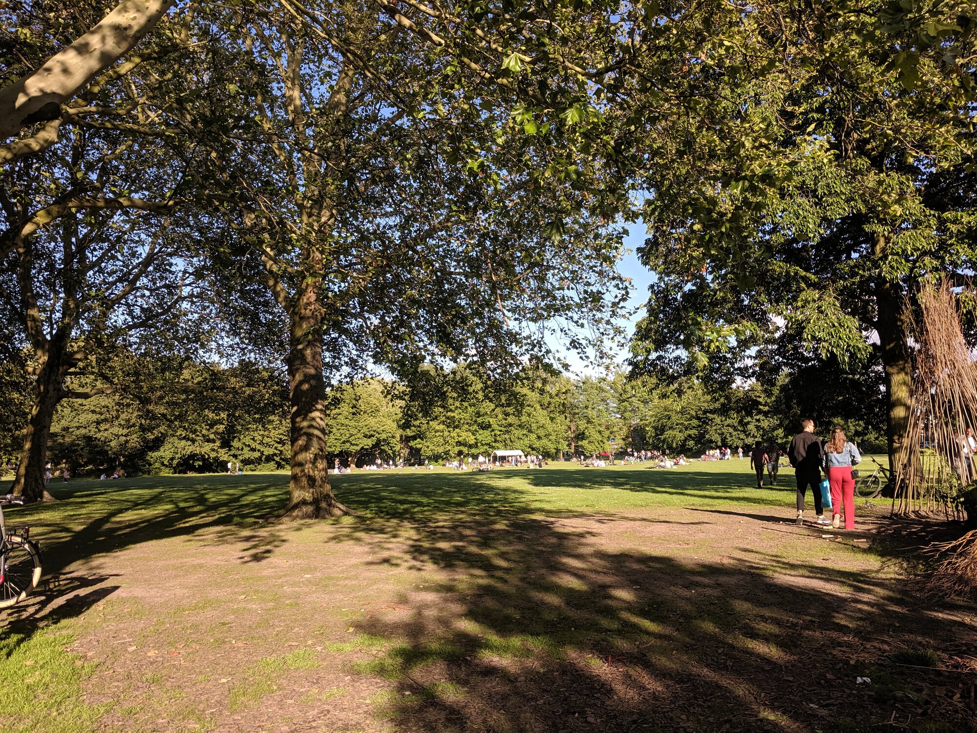 A park with a big lawn area and many groups of people having picnics
